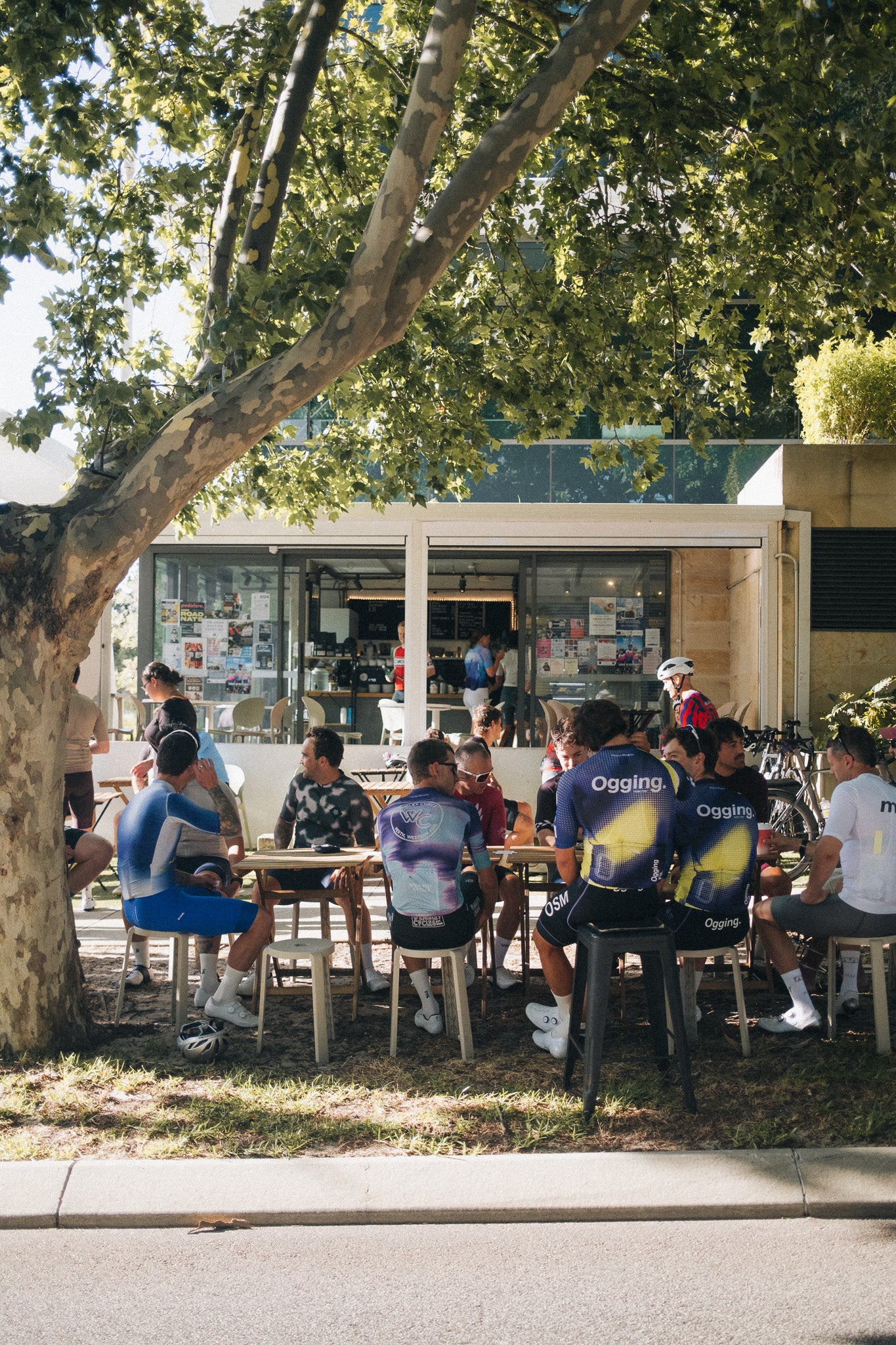 Ogging Cycle Club
